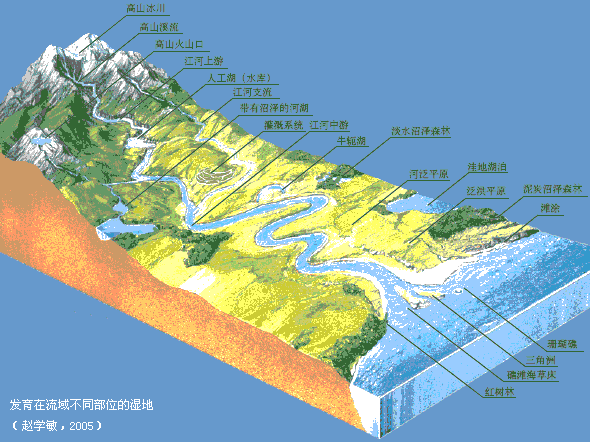 发育在流域不同部位的湿地(赵学敏,2005)