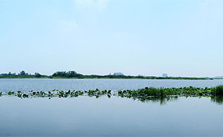 白马湖