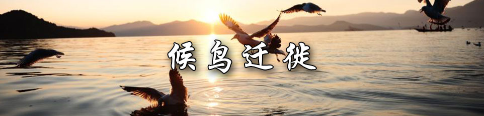 湿地保护修复制度方案